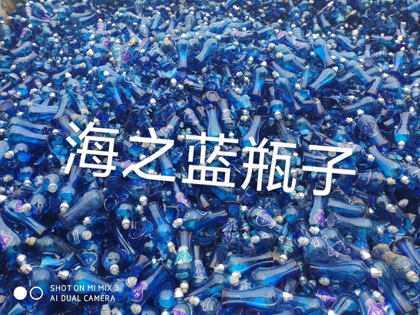 阜宁海之蓝瓶回收