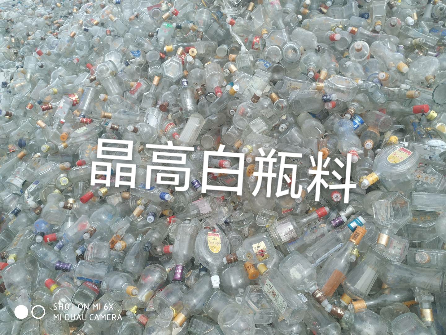 阜宁晶高白瓶料回收